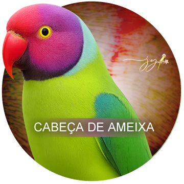 Cabeça de Ameixa